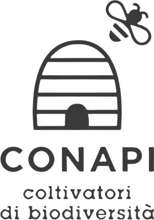 Conapi